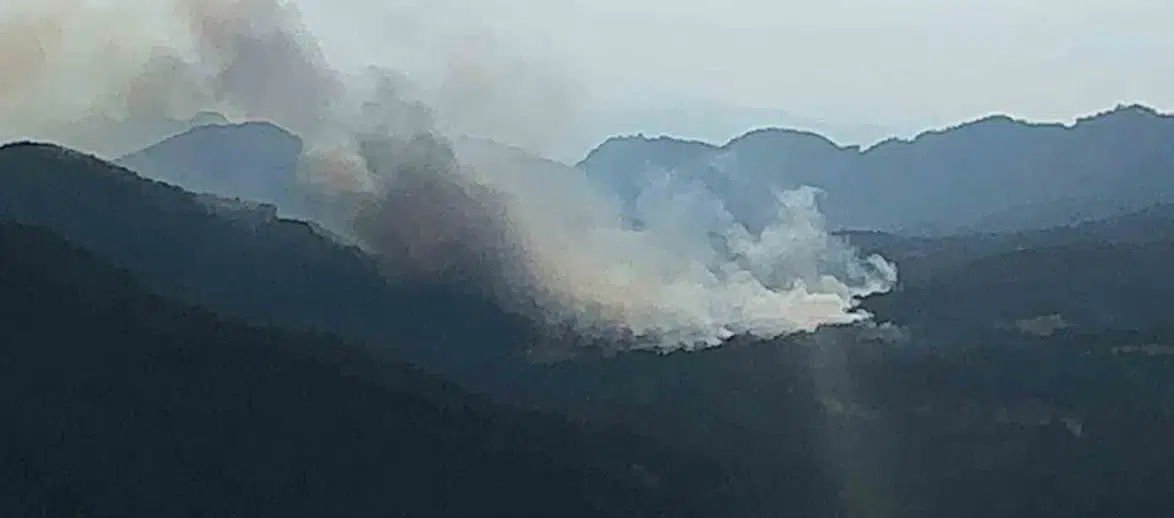 Bolu'da orman yangını riski bugün zirve yapacak