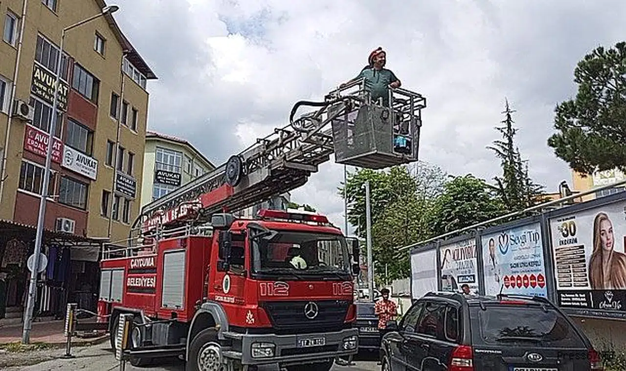 Kargadan kaçan yavru kedi ağaçta mahsur kaldı..İmdadına itfaiye koştu  