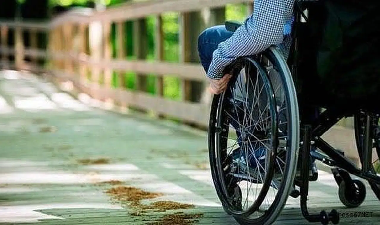 Sandığa taşınacaklar!