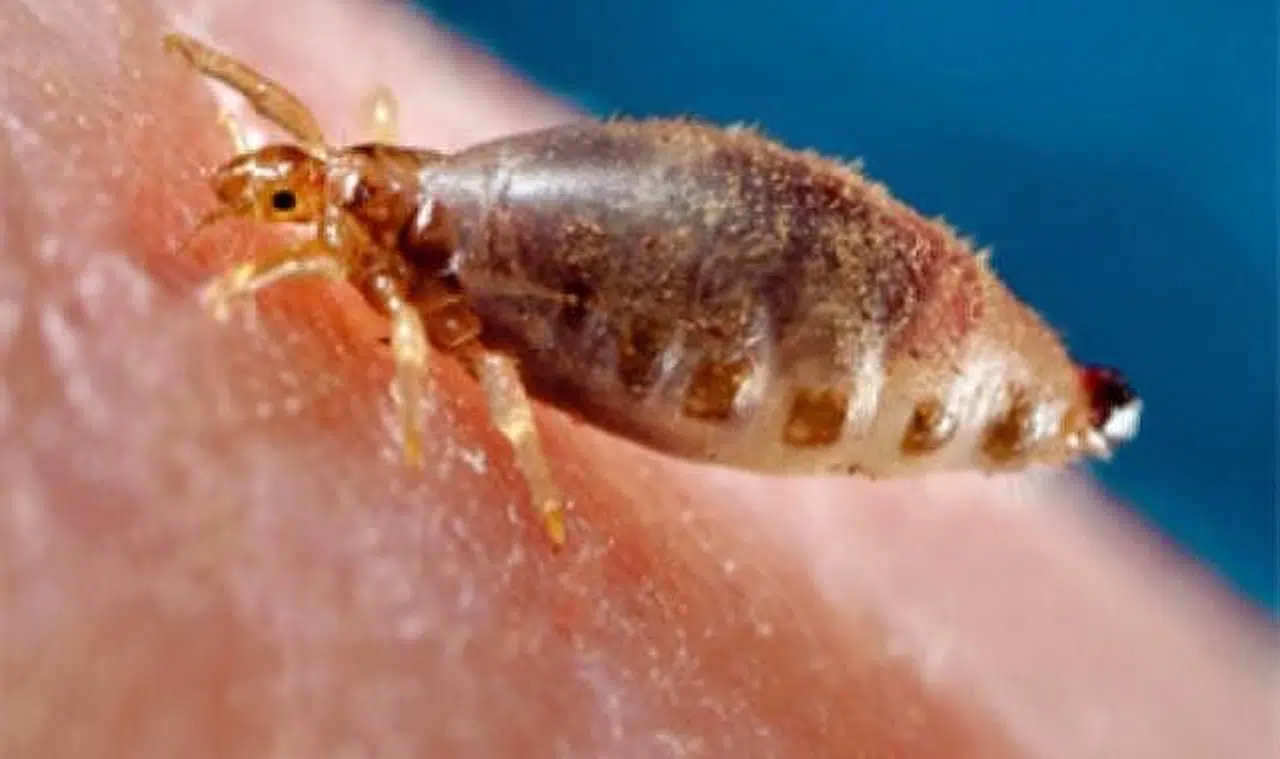 Dikkat: O hastalık Zonguldak'ta patlama yaptı!