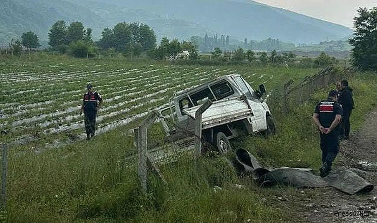 Direksiyon hakimiyetini kaybetti tarlaya girdi  