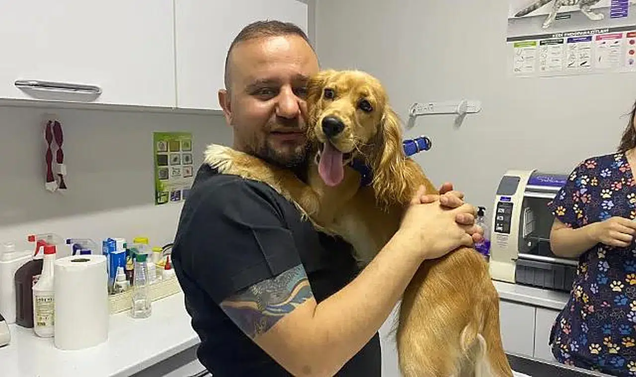 Köpeğin rahminden 2 kilo enfeksiyon çıktı