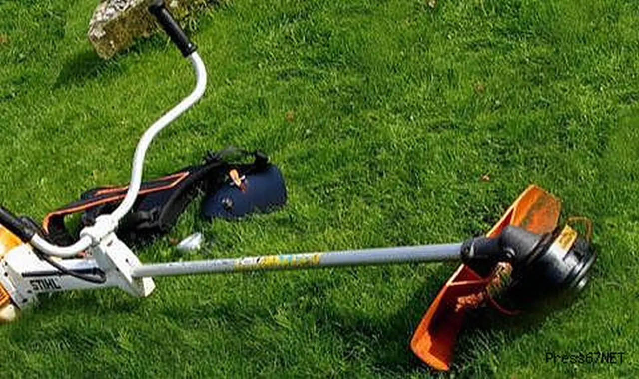 Ot temizlerken hastanelik oldu!