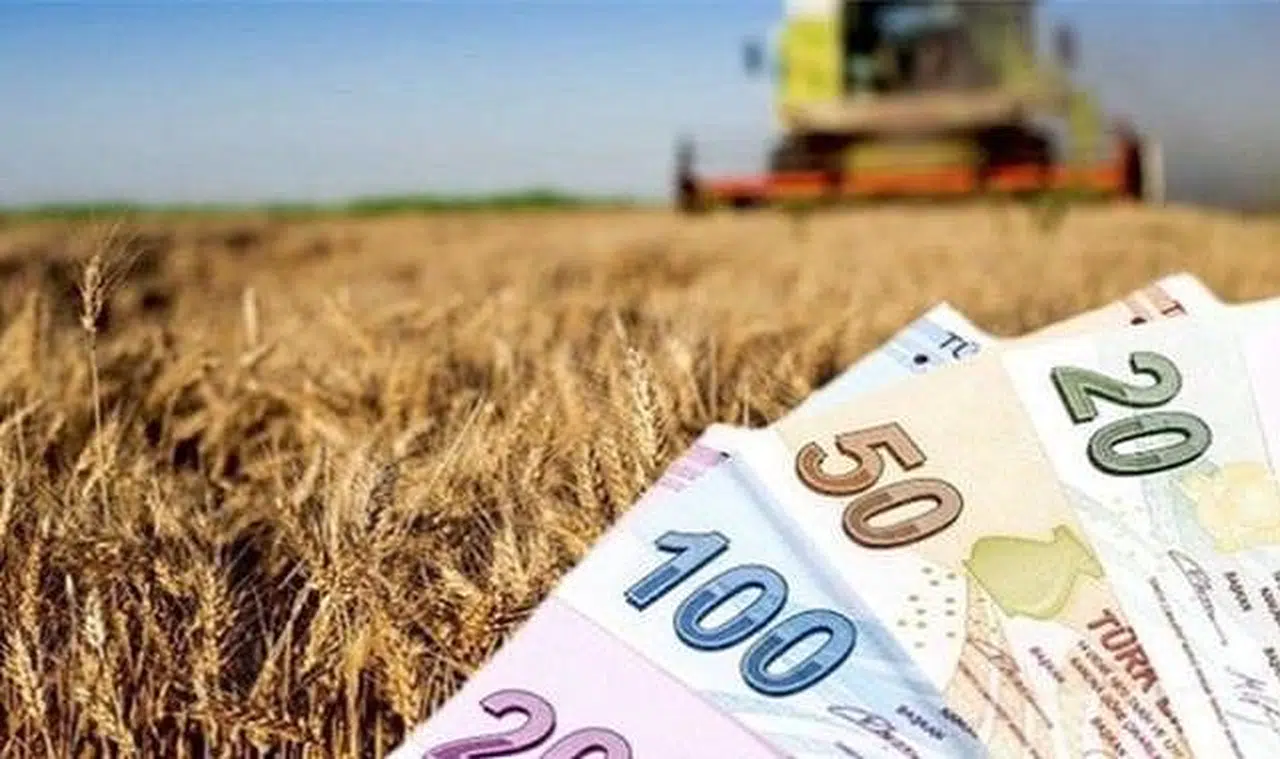 Çiftçiler müjde! Tarımsal destek ödemeleri hesaplara aktarıldı