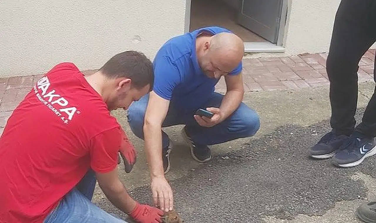 Vatandaşların bulduğu tilki yavrusu koruma altına alındı
