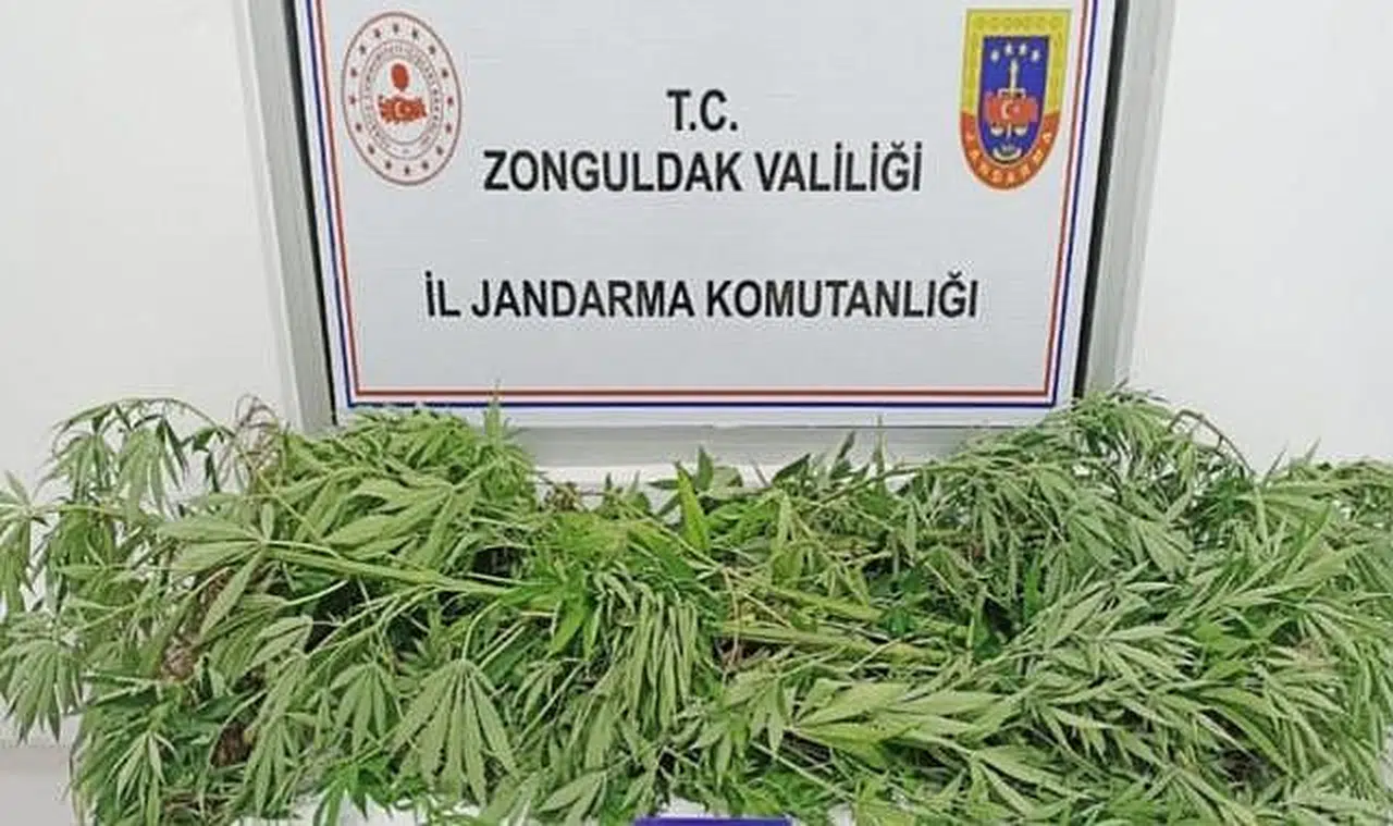 Jandarmadan uyuşturucu operasyonu!