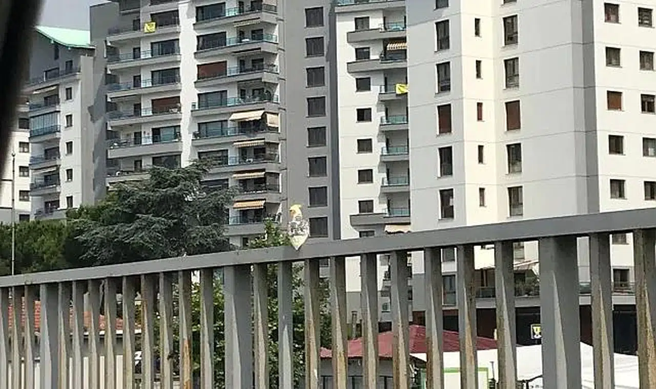 Papağan uçtu sahibi ecel terleri döktü