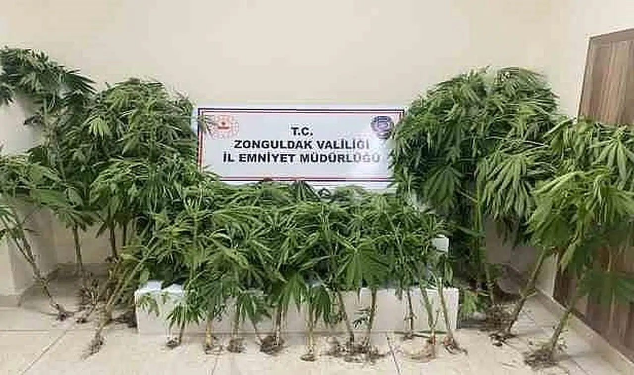 Uyuşturucu operasyonunda 1 kişi tutuklandı