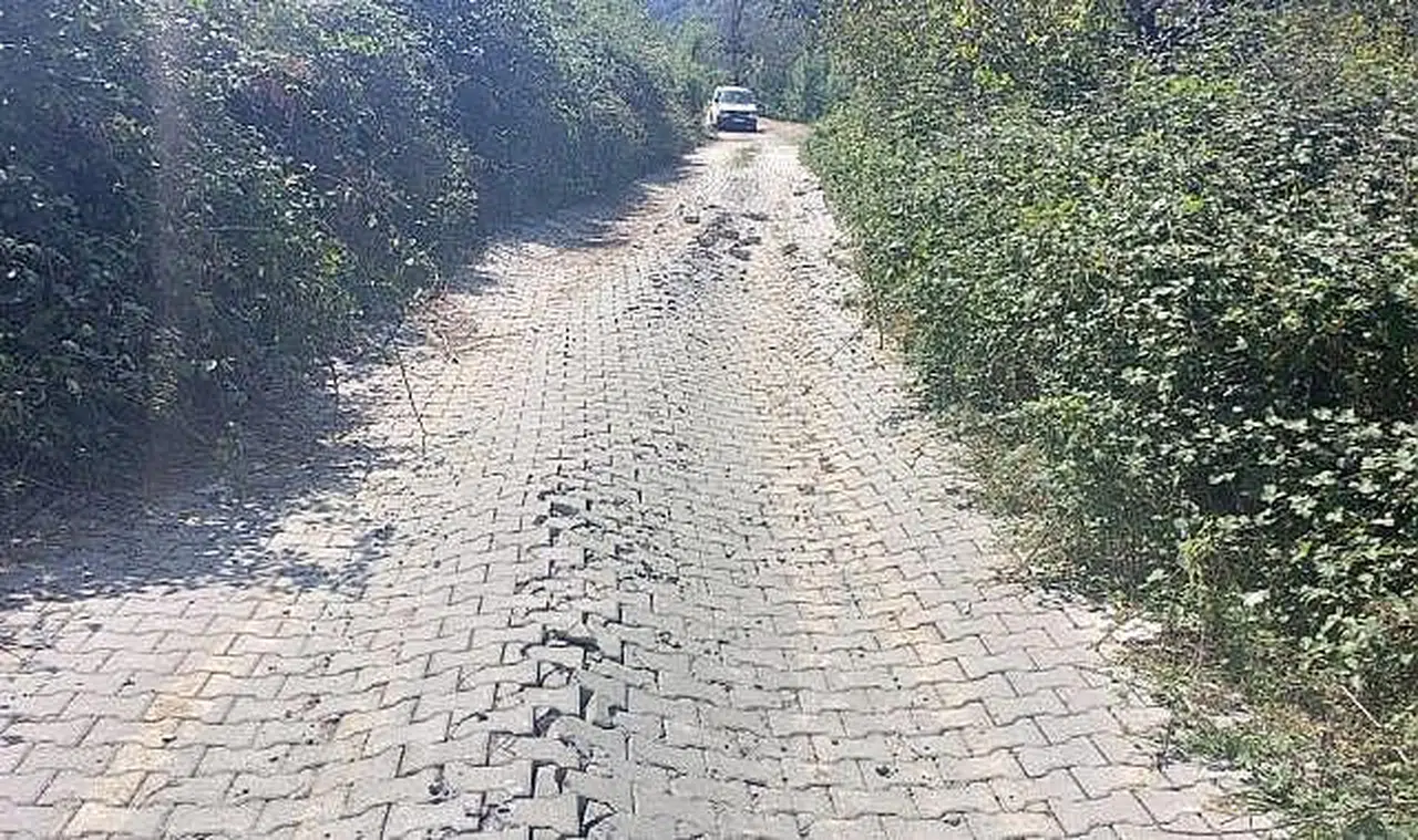 Muhtarın belediye başkanına isyanı: “Vatandaşların gözünü boyuyor”