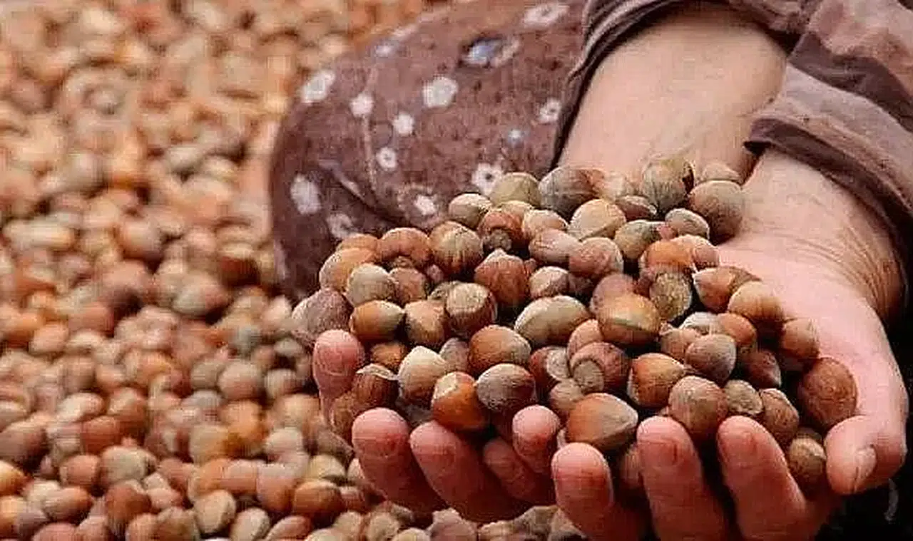 Yüzde 58 artırmak ihanettir!