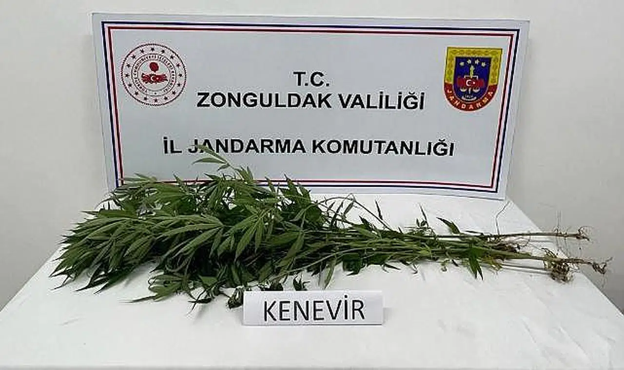 Jandarmanın arama yaptığı evden uyuşturucu çıktı