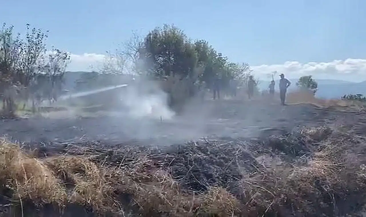 Kaptaş'ta fındık bahçesi yandı  