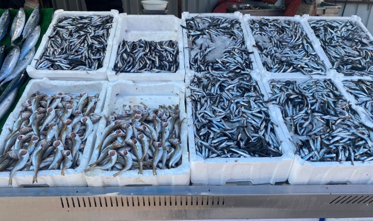 Tezgahları gören geri döndü!