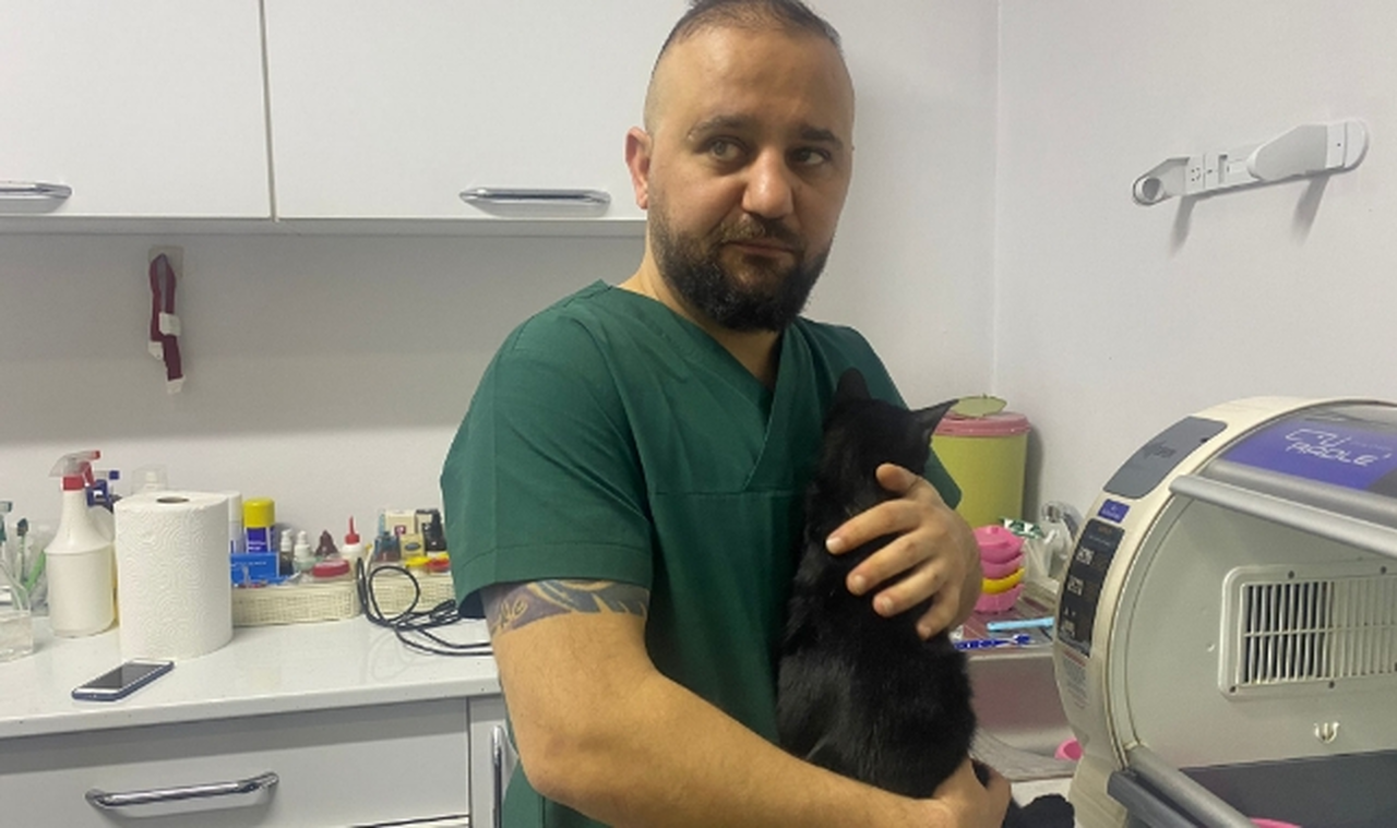 Altıncı katın penceresinden düşen kedi kırıklarla kurtuldu