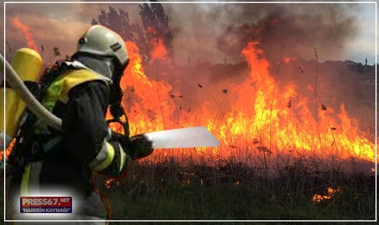 Olukyanı köyünde yangın! Ekipler olay yerinde