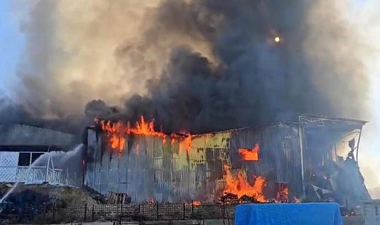 Balık yemi paketleme fabrikası alevlere teslim oldu
