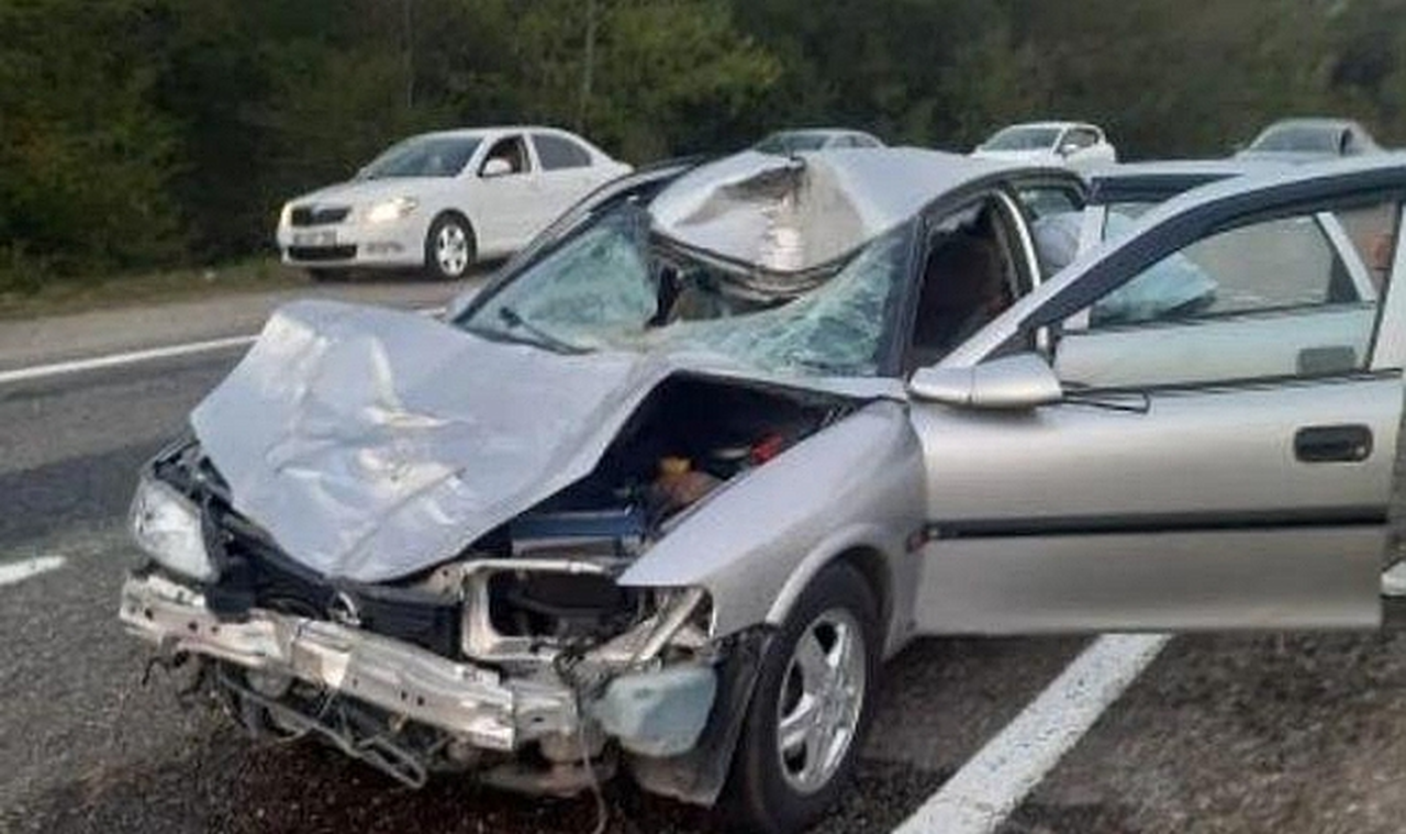 Çaycuma’da Başıboş Hayvan Kazaya Sebep Oldu: 4 Yaralı