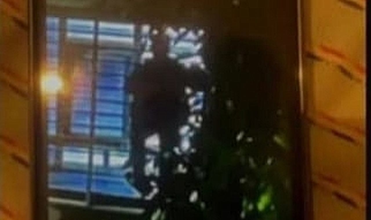 Zonguldak'ta Gözetleme İddiasıyla Gözaltına Alınan Şahıs Serbest Bırakıldı