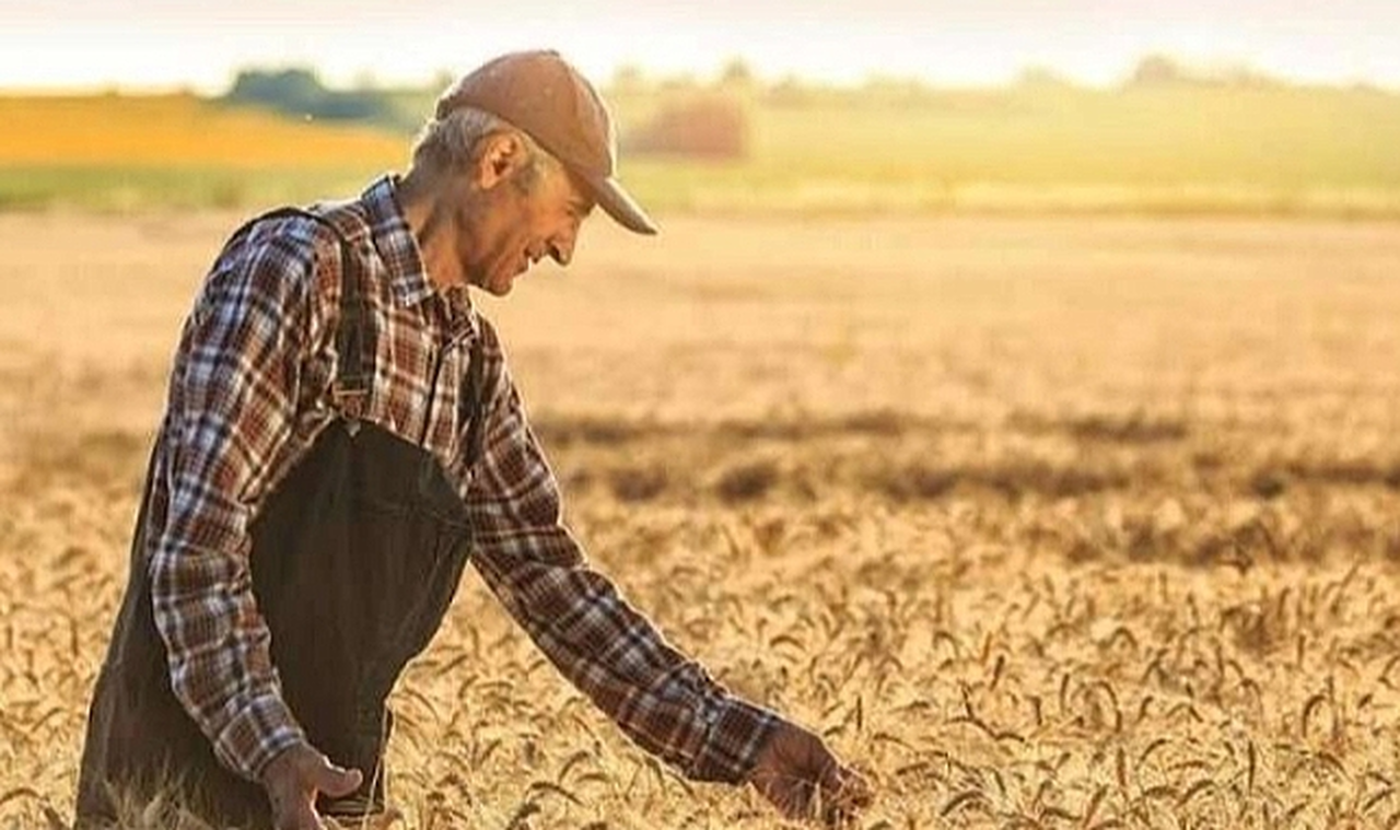 Tarım ÜFE’de Yıllık ve Aylık Artış