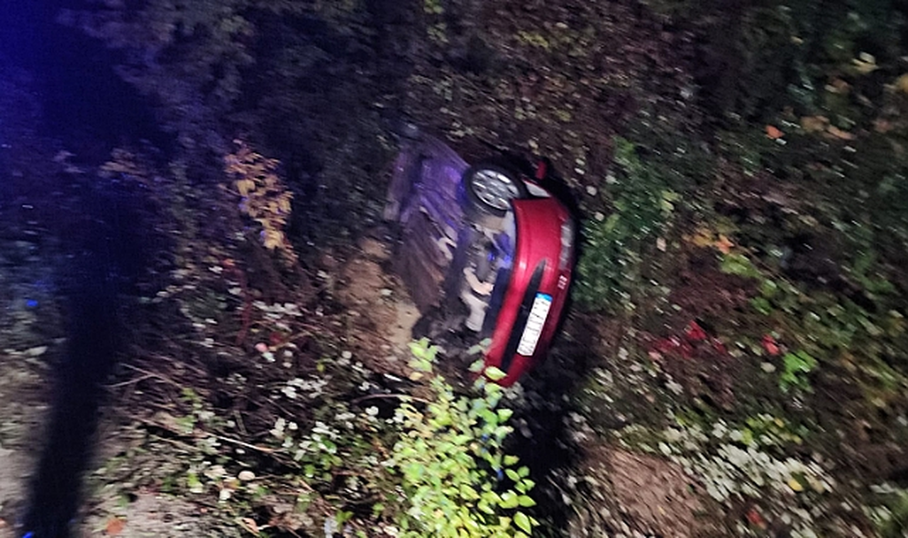 Zonguldak'ta trafik kazasında 4 kişi yaralandı