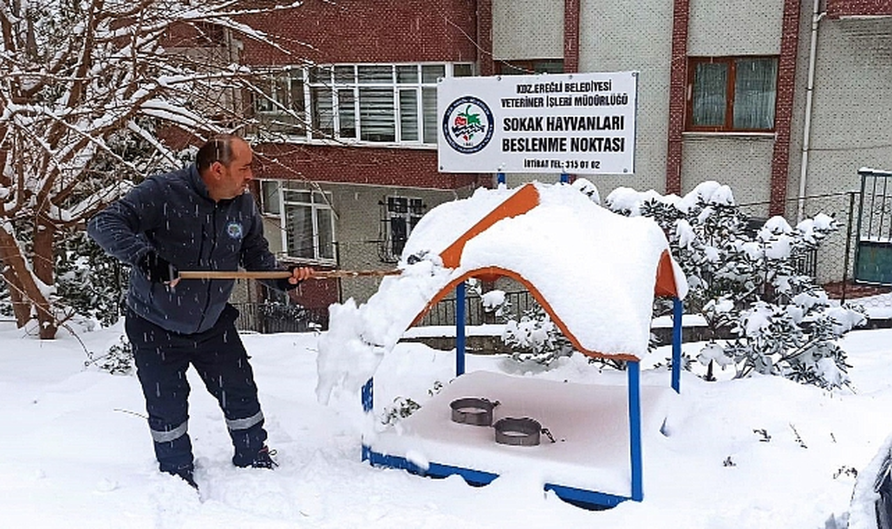 Kdz. Ereğli Belediyesi sokaktaki canları unutmuyor