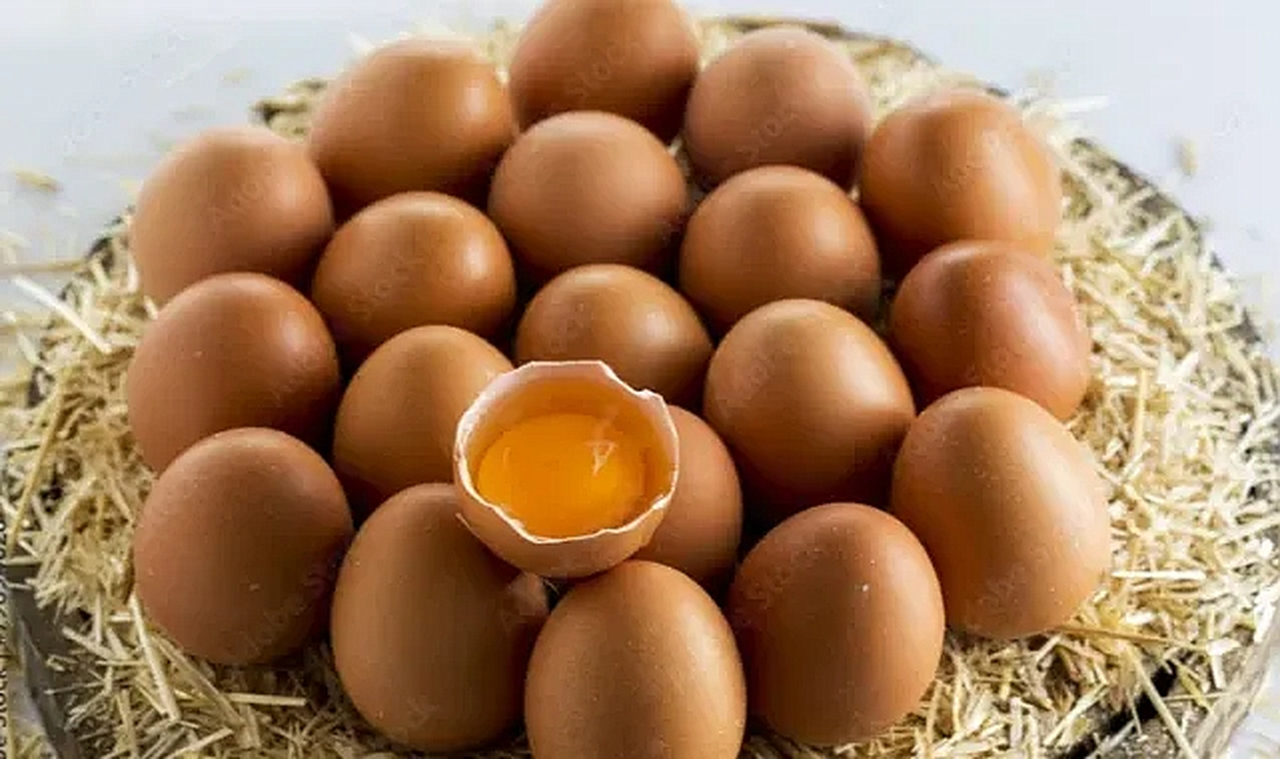 Tavuk Eti Üretimi Artarken, Yumurtada Düşüş Yaşandı