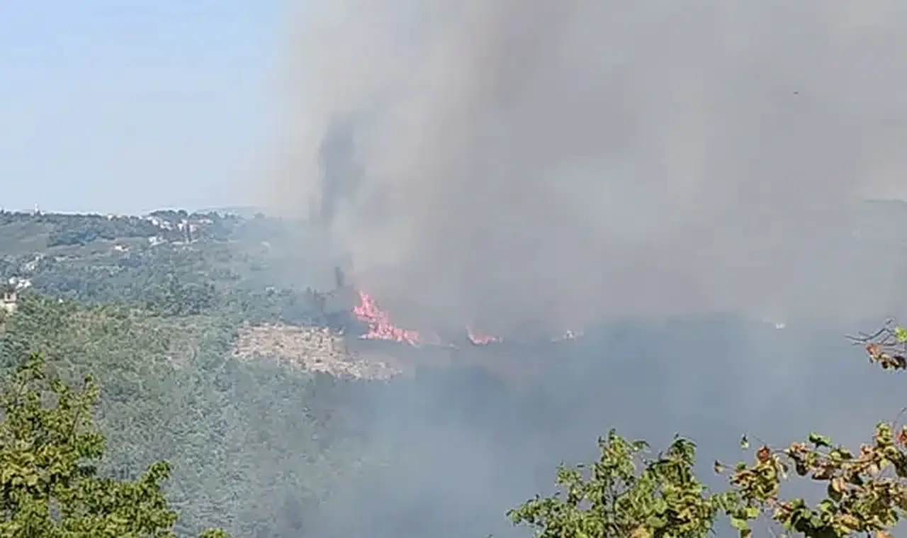 Alaplı'da ormanlık alanda yangın çıktı
