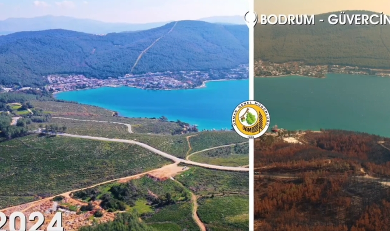 Orman Genel Müdürlüğü, "Yanan alanlar otellere tahsis edilmedi"