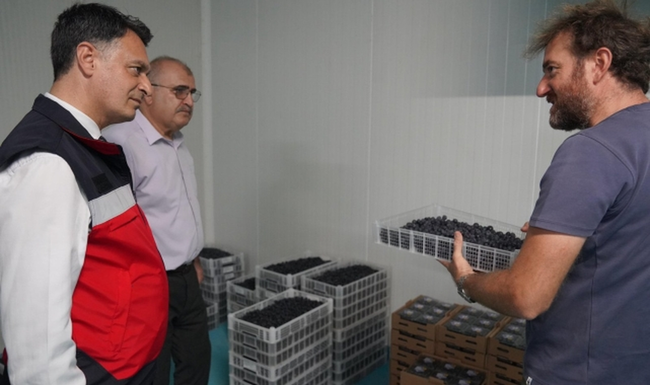 Zonguldak ve Bartın tarım müdürlerinden yaban mersini bahçesine ziyaret