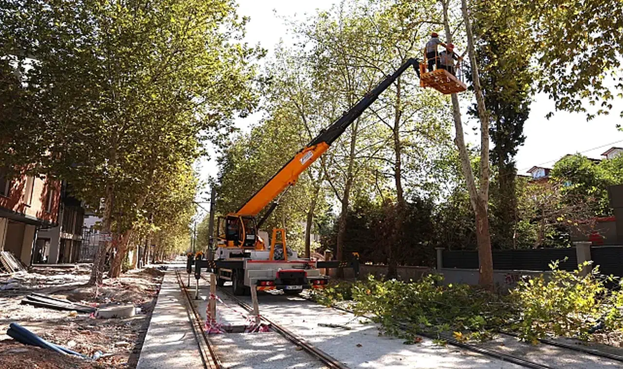 Alikahya Tramvay Hattı için ağaçlara itinalı budama