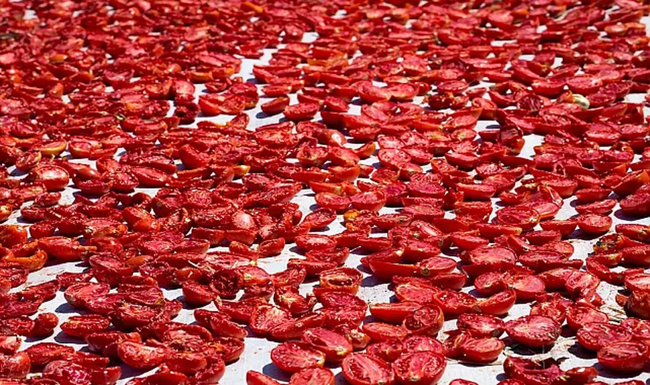 Şifa deposu kuru domates ihracatta dünya ikincisi