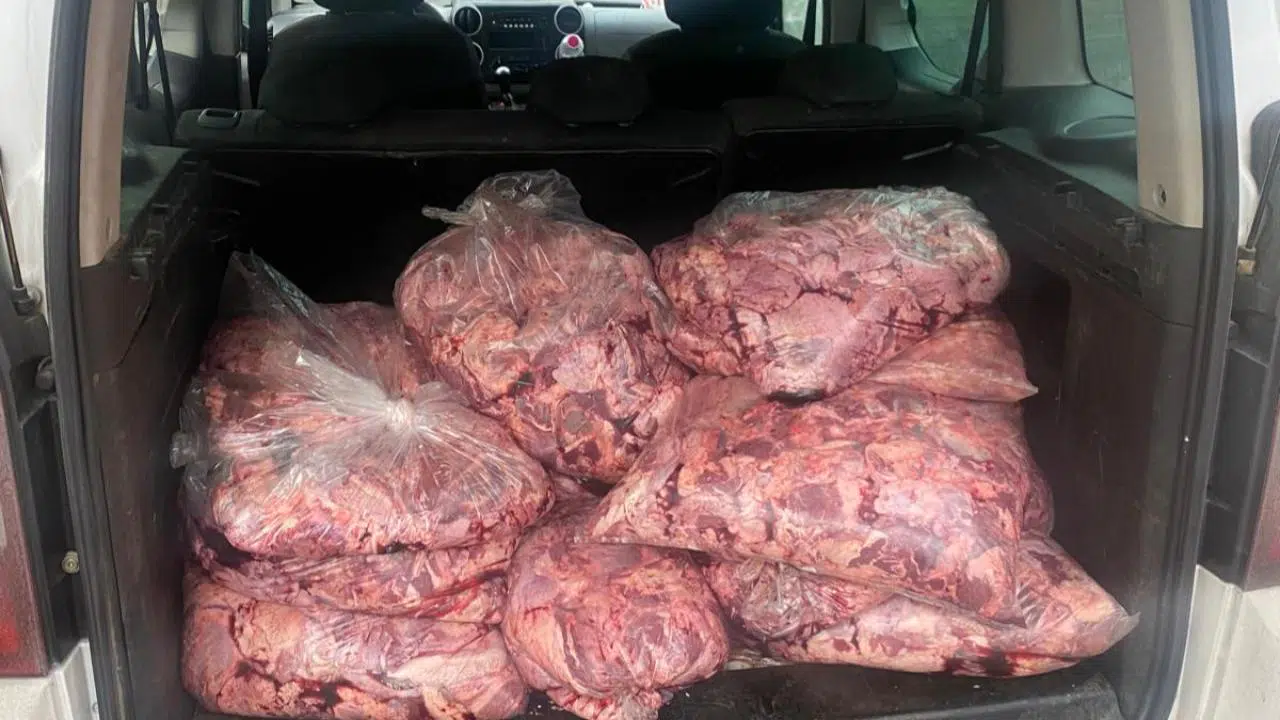 Halkın Sağlığıyla Böyle Oynadılar: Yarım Ton "Zehir" Sofraya Ulaşmadan Yakalandı!