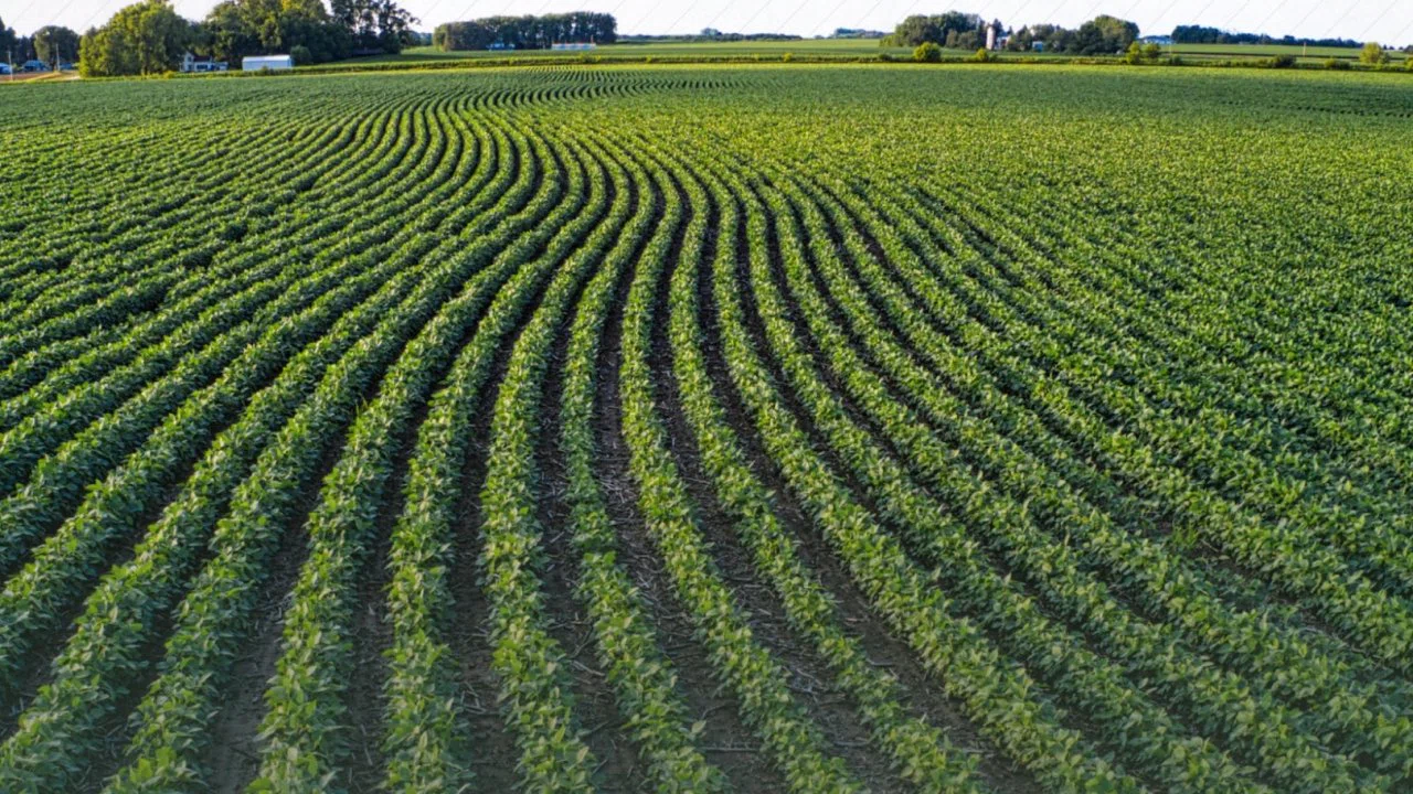 Tarım arazilerinin etkin kullanımı için hibe desteği