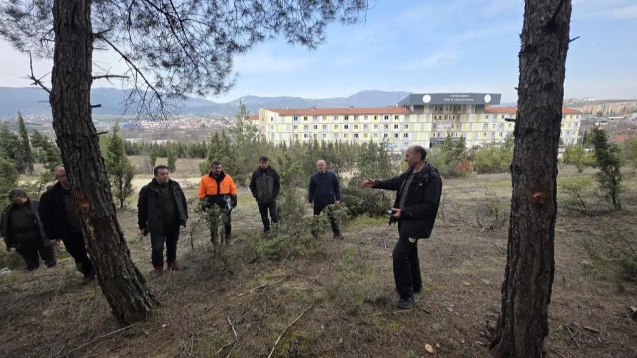 Zonguldak Orman Bölge Müdürlüğü’nden "Güvenlik Kuşağı" operasyonu