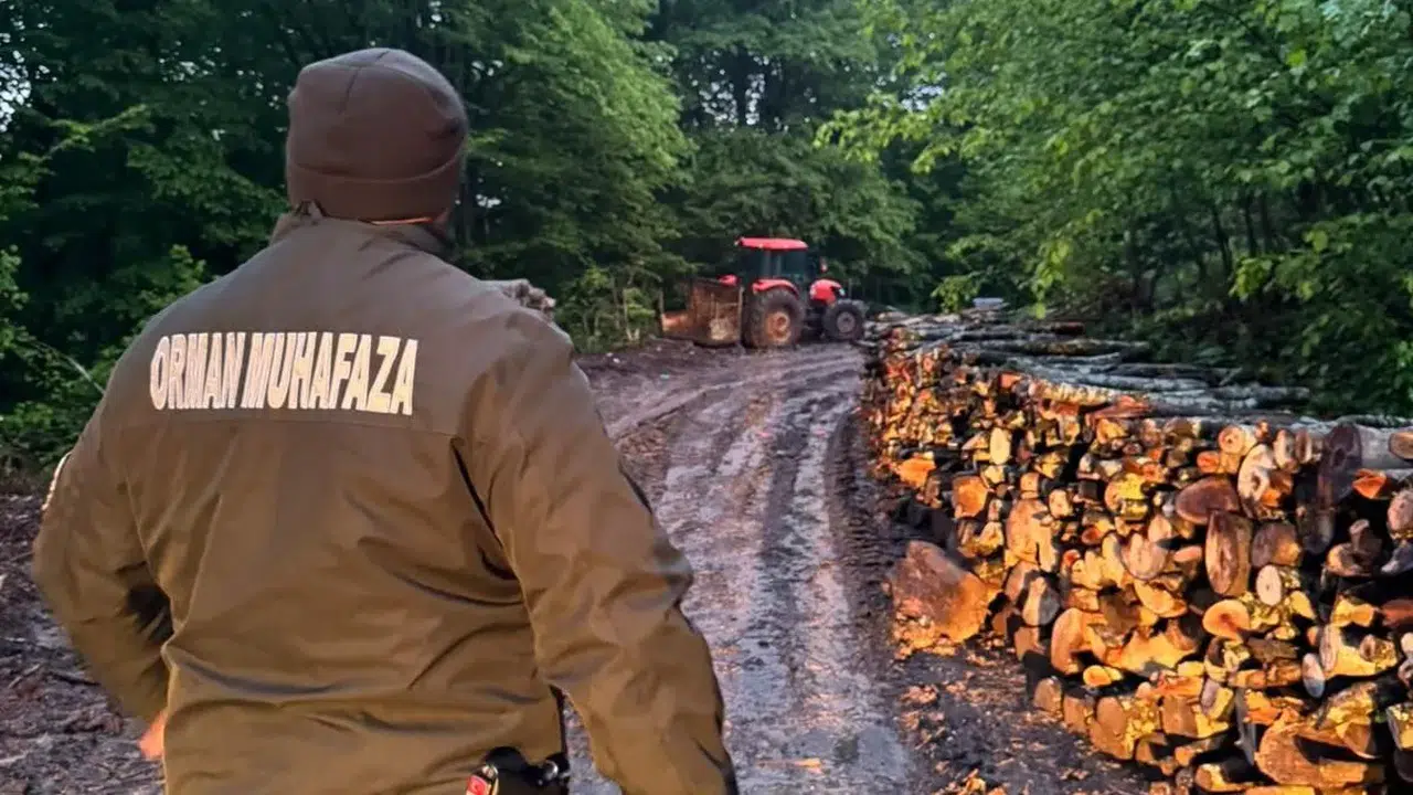 Zonguldak'ta ormanlara 7/24 sıkı denetim