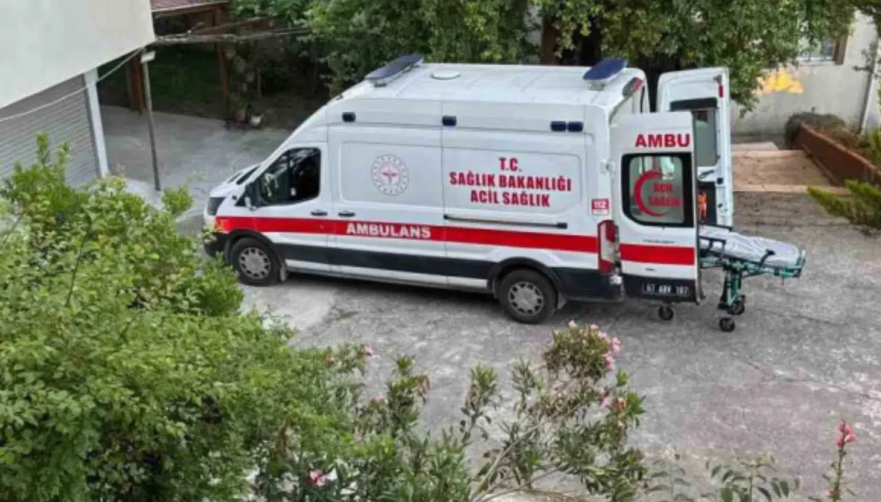 Dut toplarken ağaçtan düşüp yaralandı