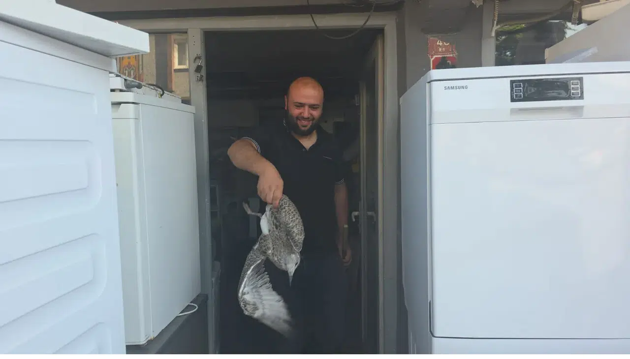 Martı yavrusu beyaz eşya tamircisini karıştırdı