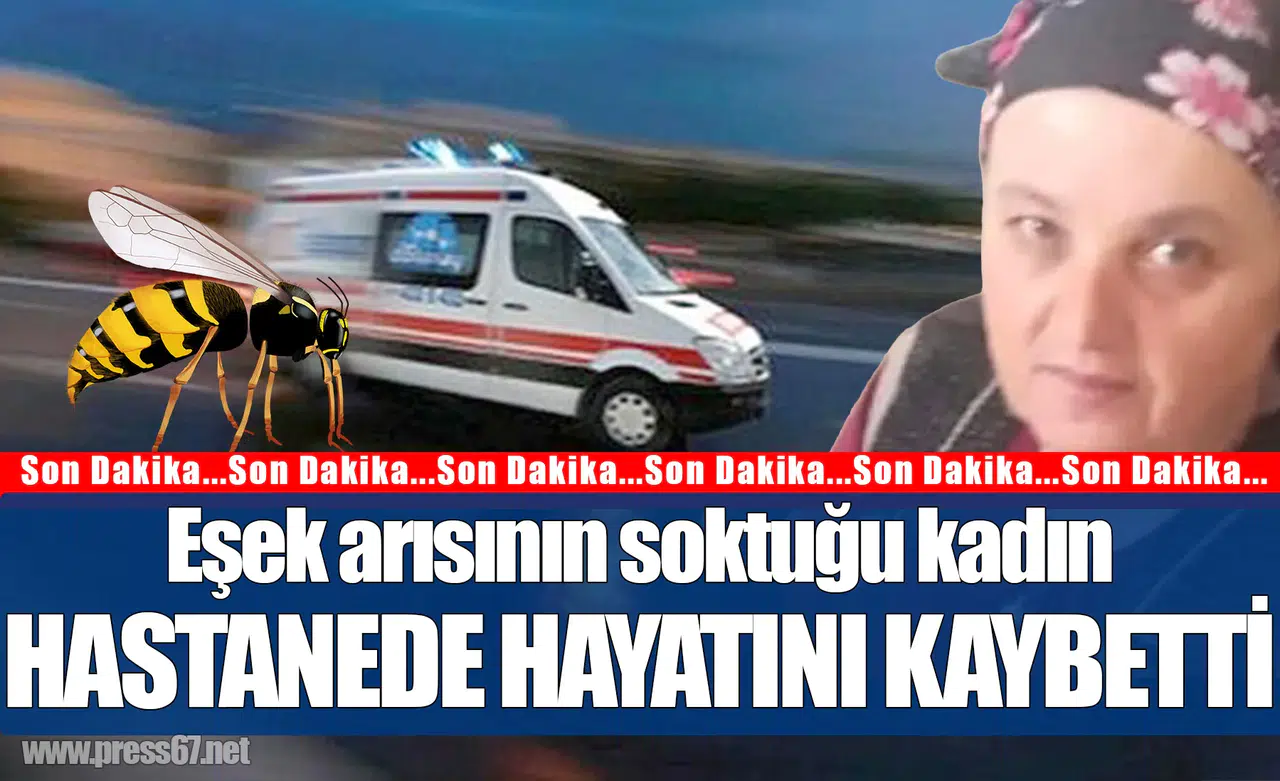 Zonguldak'ta eşek arısının soktuğu kadın hayatını kaybetti