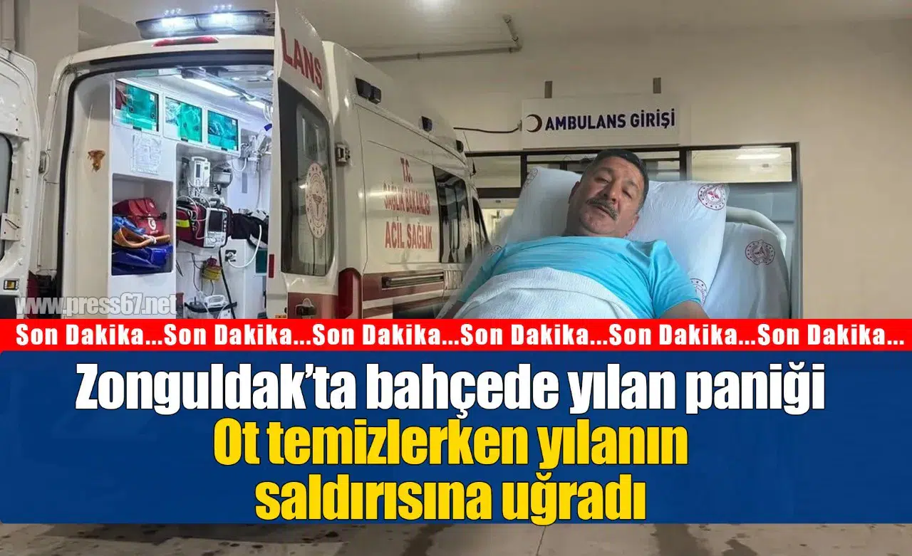 Zonguldak’ta bahçede yılan paniği: Ayağından ısırılan Kamil Kaçar 1 gün gözetim altında