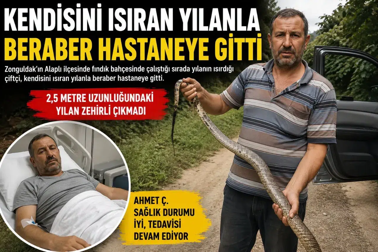 Alaplı’daki ‘Yılanı Yakalayıp Hastaneye Gitti’ haberi asılsız çıktı