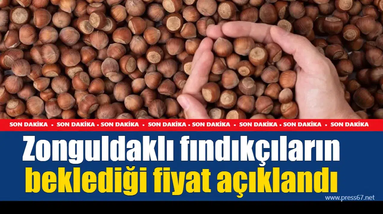 Zonguldaklı fındıkçıların beklediği fiyat açıklandı
