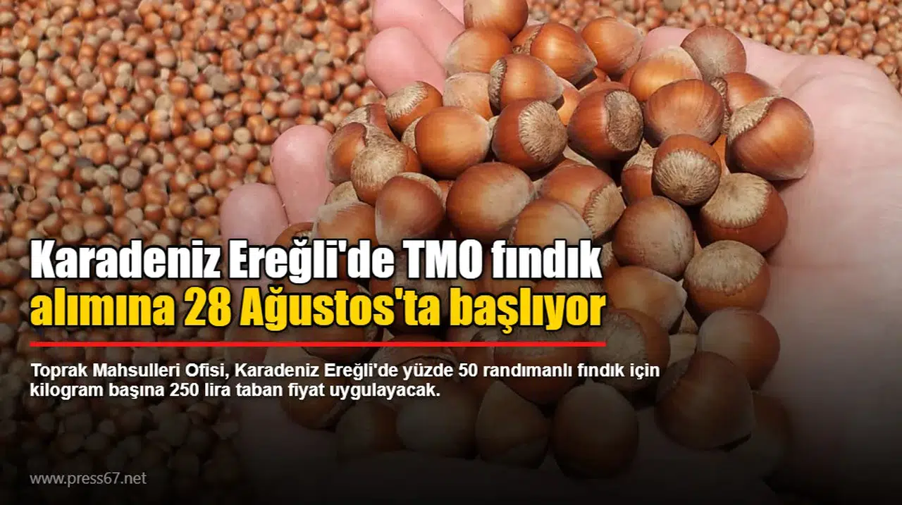 Karadeniz Ereğli'de TMO fındık alımına 28 Ağustos'ta başlıyor
