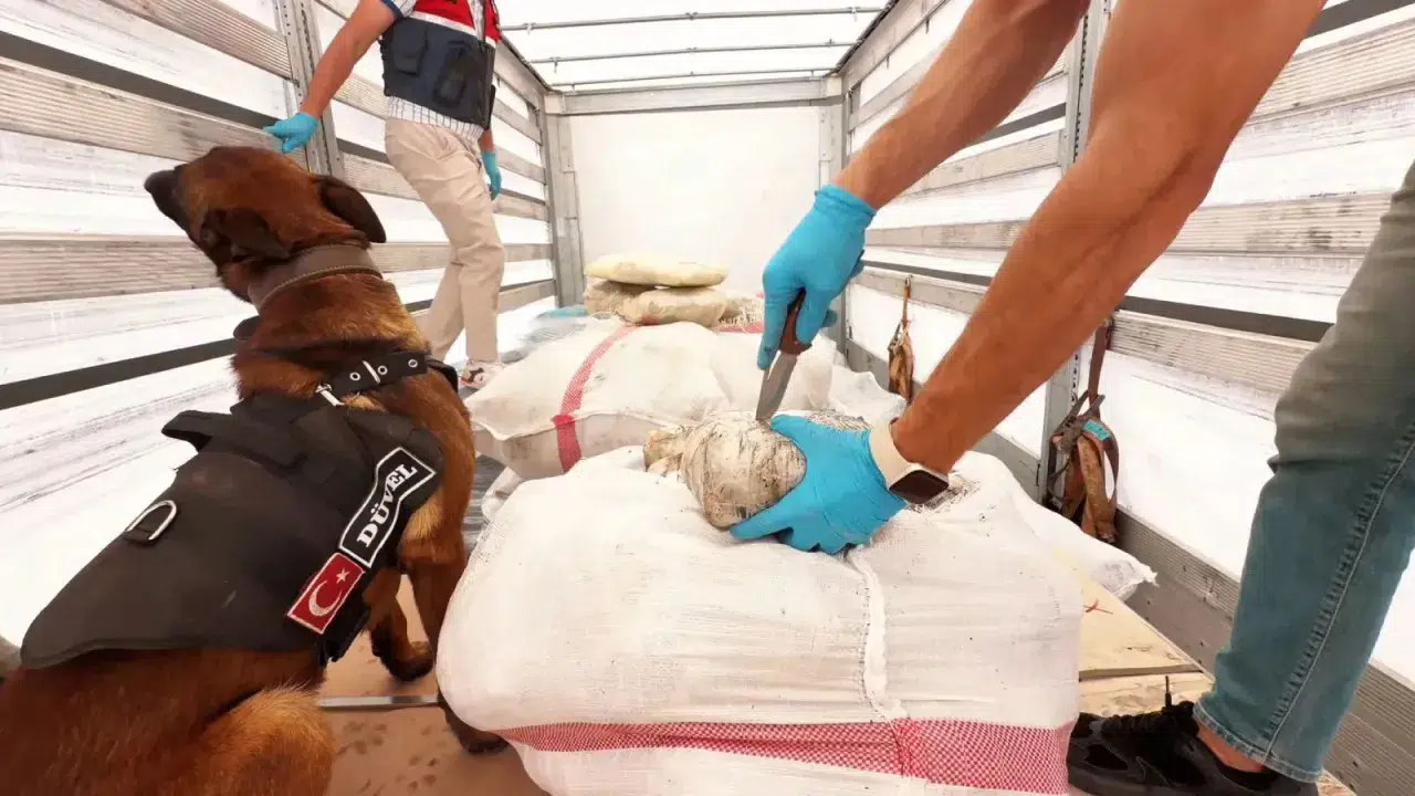 71 ilde narkotik operasyonu: 2 ton uyuşturucu ele geçirildi, 424 kişi tutuklandı
