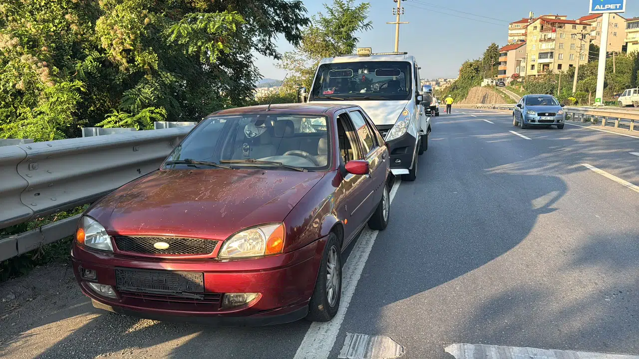 Zonguldak'ta köpeğe çarpmamak için fren yapan araca zincirleme kaza: 5 yaralı