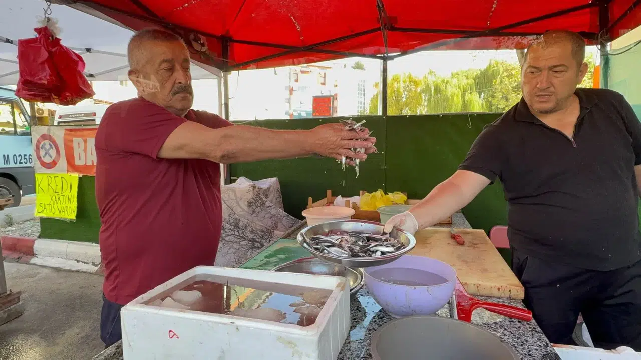 Tezgahlar palamutla şenlendi: 100 liradan satılıyor