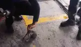 Safranbolu'da otomobilin motoruna giren yavru kedi kurtarıldı