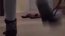 Sosyal medyada infial oluşturan kaplumbağa eziyeti görüntülerine gözaltı