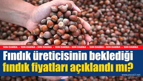 Fındık üreticisinin beklediği fındık fiyatları açıklandı mı?