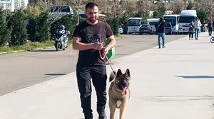 Zonguldak'ta kaybolan Leydi isimli köpek aranıyor