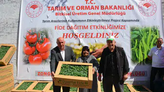 Ereğlili üreticiler yüzde 75 hibeli fidelerle 6,7 milyon liralık hasıla hedefliyor